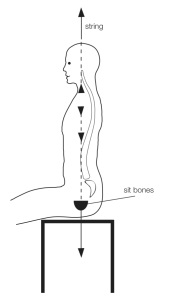 measure your sit bones